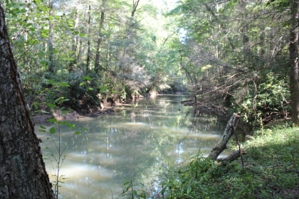 Paint Rock Creek Tract 36