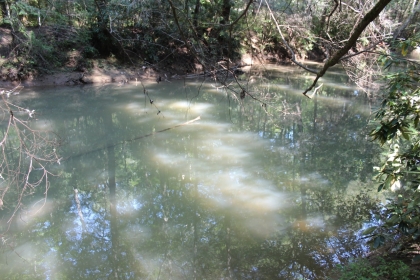 Paint Rock Creek Tract 36