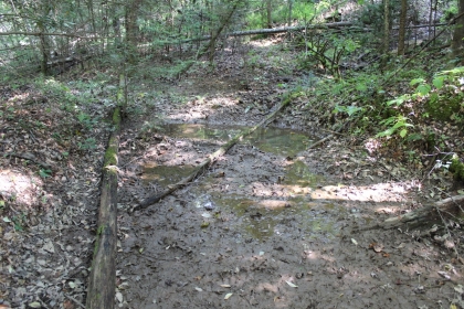 Paint Rock Creek Tract 36