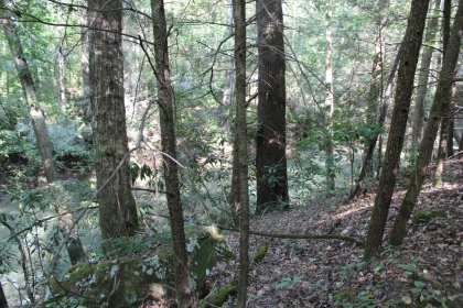 Paint Rock Creek Tract 36