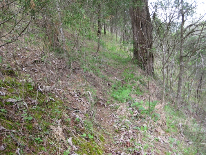 Hollow Ridge Trails Tract 2
