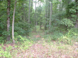 Keel Mountain - Alabama Land