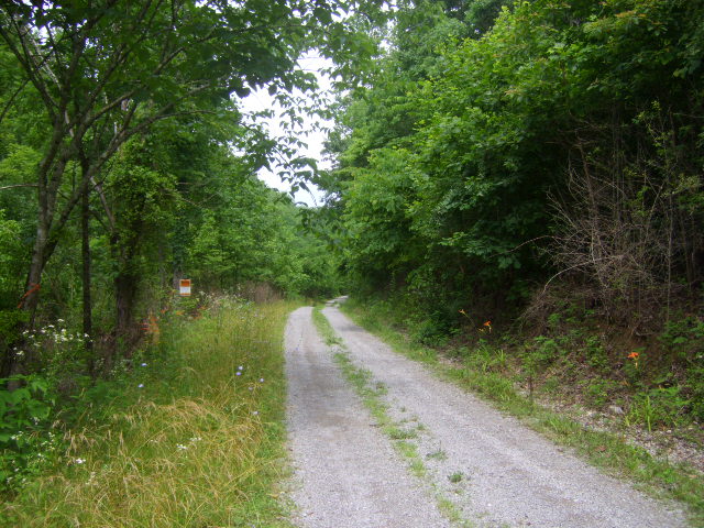 Long Branch - East Tennessee Land