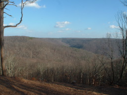 Falcon Crest - Alabama Land