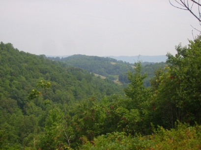 Frog Level - East Tennessee Land