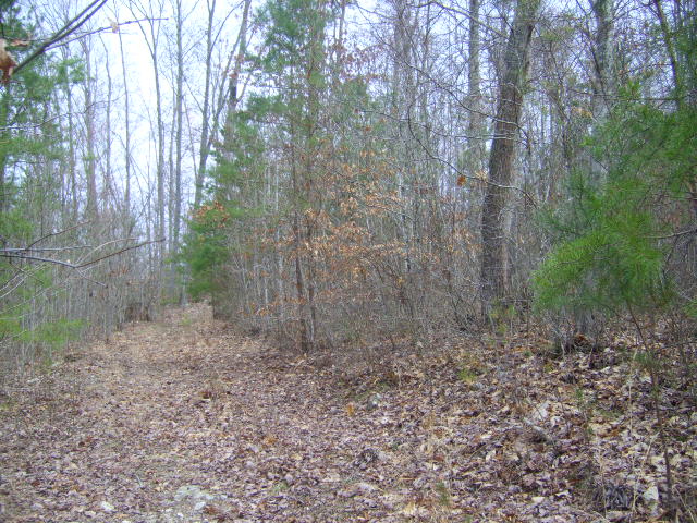 Halls Ridge - East Tennessee Land
