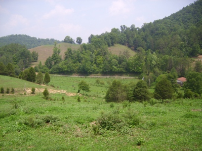 Hollow Ridge Trails - East Tennessee Land
