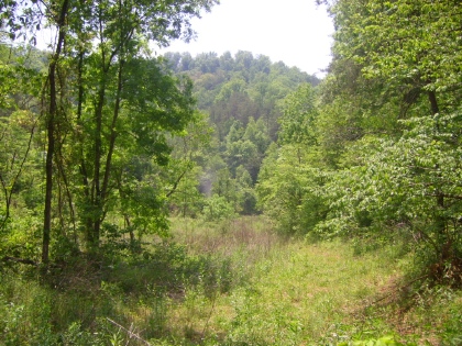 Little Caney - East Tennessee Land