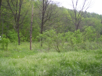 Lonesome Valley - East Tennessee Land