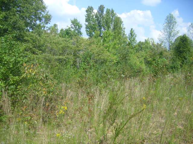 Long Branch - East Tennessee Land