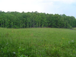 Potters Chapel - East Tennessee Land