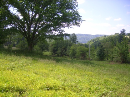 rebel_farms - East Tennessee Land