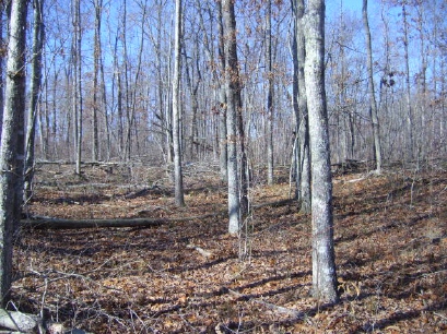 Red Hill - East Tennessee Land