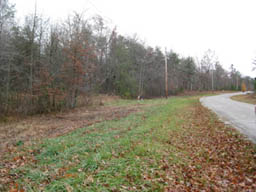River Watch - East Tennessee Land with Power, Water and 100% Owner Financing