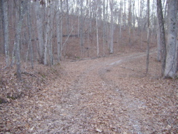 Sandy Gap - Kentucky Land