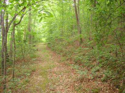 Sharps Chapel - East Tennessee Land
