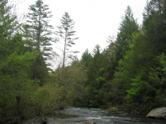 White Water Paradise - East Tennessee Land